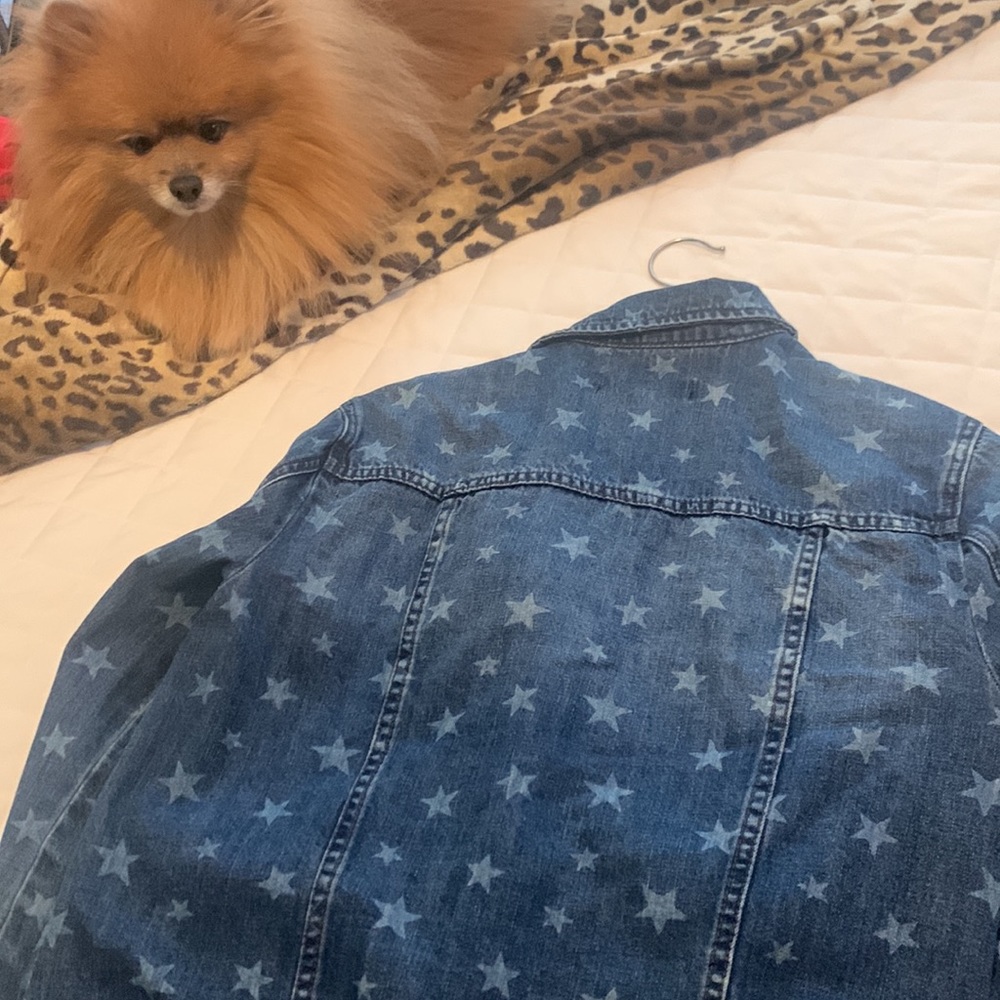 Jean jacket - Picture 4 of 4